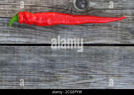 Rote scharfe Chilischote auf einem rustikalen Hintergrund mit Kopierraum. Nahaufnahme, Draufsicht Stockfoto