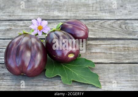 Auberginen gruppieren sich auf einem alten Holztisch. Nahaufnahme, selektiver Fokus. Stockfoto
