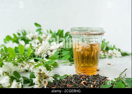 Akazien Blumen Brühe in Glaswaren Tasse auf einem weißen Zement Hintergrund mit üppig blühenden weißen Akazienbaum Zweig, Haus selbst-Behandlung, nützliche properti Stockfoto