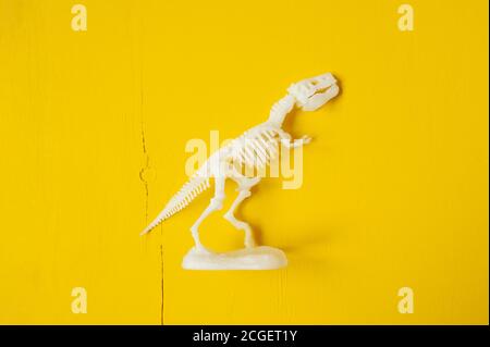 Weißes Plastikskelett eines Tyrannosaurus Dinosauriers auf einem gelben Holzhintergrund Stockfoto