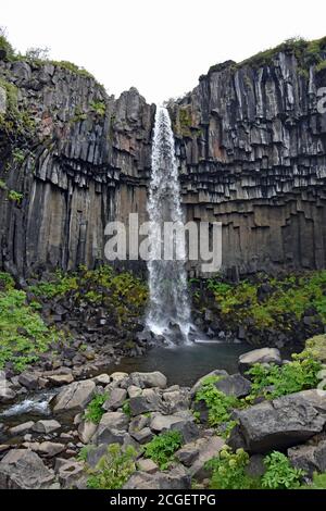 Der Wasserfall Svartifoss fließt über sechseckige Basaltsäulen, die durch Lavaströme in Skaftafell, Vatnajokull Nationalpark, Südisland, verursacht werden Stockfoto