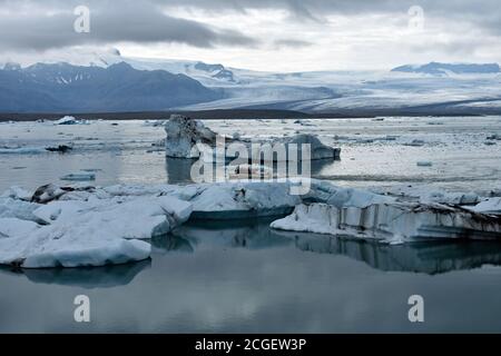 Eisberge in Jökulsárlón Gletscherlagune in Südisland. Die Eiskappe Vatnajokull fällt an einem trüben grauen Tag hinter dem See die Berge hinunter. Stockfoto