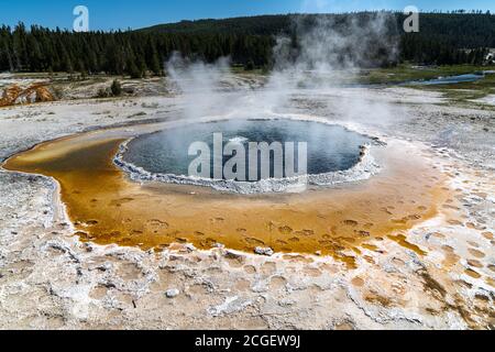 Crested Pool, Upper Geyser Basin, Yellowstone-Nationalpark Stockfoto