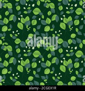 Brunch mit Eukalyptus-Silber-Dollar. Schöne dekorative Kaugummi Baum natürliches Laub. Stock Vektor