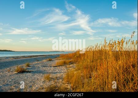 Abendlicht an einem Strand auf Edisto Island in South Carolina, USA. Stockfoto