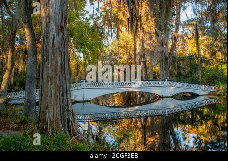 Eine weiße Brücke und Bäume spiegeln sich in einem Teich in der Magnolia Plantation and Gardens bei Charleston in South Carolina, USA. Stockfoto