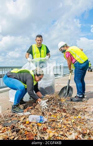 Arbeiter entfernen Hurrikan Trümmer von der Lakefront Promenade nach Hurrikan Laura, 9. September 2020, in Lake Charles, Louisiana. Stockfoto