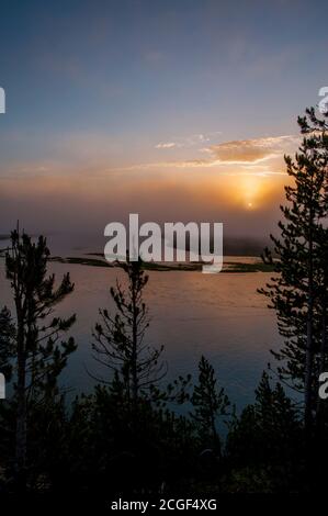 Nebel steigt früh morgens über dem Yellowstone River im Hayden Valley im Yellowstone National Park in Wyoming, USA. Stockfoto