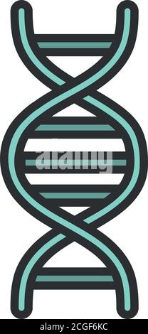 Medizinische dna-Molekül genetische Struktur Linie und füllen Vektor Illustration Stock Vektor