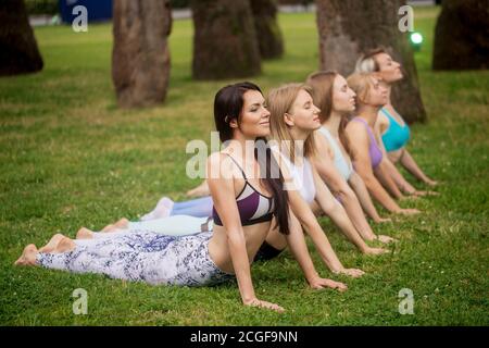 Gruppe von positiven attraktiven kaukasischen Frauen in Sportbekleidung liegen auf grünem Gras im Yoga-Park, tun Stretching Pilates Übung auf Rückenmuskeln und spi Stockfoto