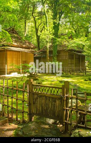 Tatsuda Natur Park, Präfektur Kumamoto, Japan Stockfoto