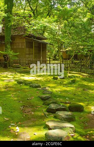 Tatsuda Natur Park, Präfektur Kumamoto, Japan Stockfoto