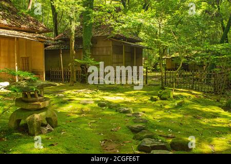 Tatsuda Natur Park, Präfektur Kumamoto, Japan Stockfoto