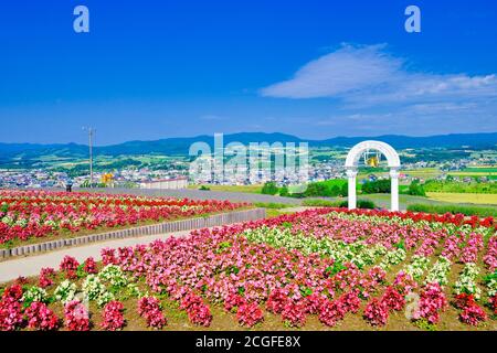 Hinode Park, Präfektur Hokkaido, Japan Stockfoto