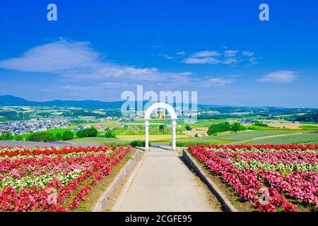 Hinode Park, Präfektur Hokkaido, Japan Stockfoto