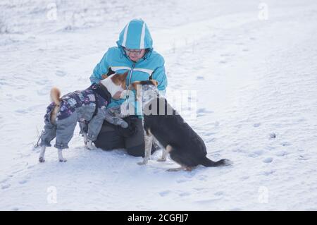 Reife Frau Fütterung basenji und Mischlingshund während des Sitzens Auf einem schneebedeckten Boden in der Wintersaison Stockfoto