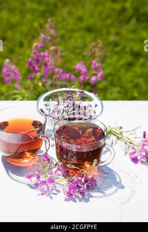 Chamaenerion Angustifolium Tee (Zypresse, große Weide, rosa Weide) mit trockenen und frischen Blumen zur Dekoration in Glas Tassen auf einem hellen Hintergrund. Konz Stockfoto