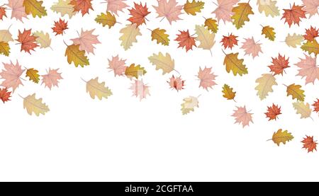 Herbstverkauf Banner mit fallenden Blättern, Aquarell Herbst Hintergrund, Herbstblatt Illustration isoliert auf weißen, botanischen Herbst Blätter Rahmen Stockfoto