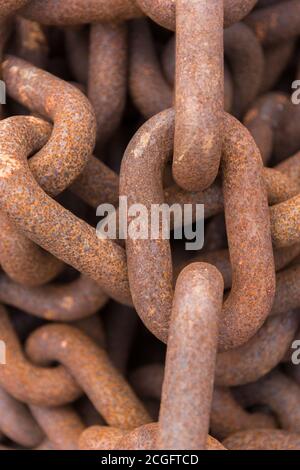 Eine lange rostige Kette, die in einen Haufen gehäuft wurde Stockfoto