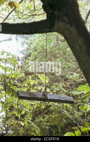 Ein dünnes Seil, das an einem Baum hängt und an dem eine hölzerne Schaukel befestigt ist. Stockfoto