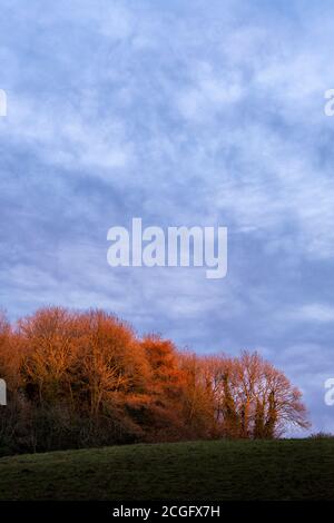 Sonnenuntergang im Herbst, der tiefe Farbe in den Wolken erzeugt, während die Sonne unter den Horizont taucht. Stockfoto