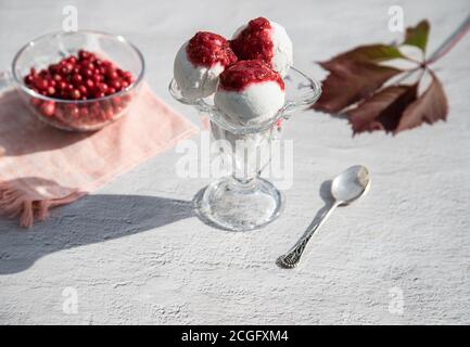 Eiskugeln in einer Glasschüssel mit Preiselbeermarmelade auf hellem Hintergrund, Beeren in einer Glasschüssel. Horizontale Ausrichtung Stockfoto
