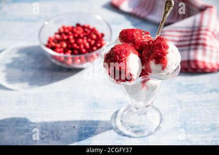 Kugeln aus veganem Kichererbseneis in einer Glasschüssel mit Preiselbeeren auf hellem Hintergrund. Horizontale Ausrichtung. Platz für den Kopierbereich Stockfoto