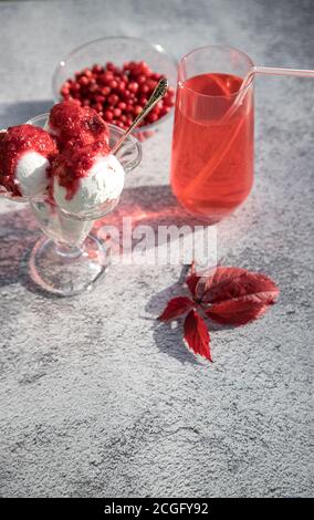 Kombucha mit roten Preiselbeeren und veganes Eis mit Beeren in einer Glasschale, Herbstblätter auf dem Tisch. Horizontale Ausrichtung Stockfoto