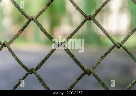 Alte Metallzaun Kettenglieder auf grünem Hintergrund, Metallgitter Stockfoto