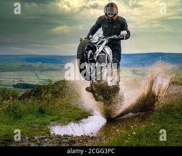 Motorradfahrer zieht ein Wheelie durch eine Pfütze gehen Stockfoto