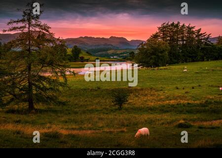 Sonnenuntergang über den Langdale Pikes und Wise Een Tarn im English Lake District. In der Nähe von Hill Top das Zuhause von Beatrix Potter Stockfoto