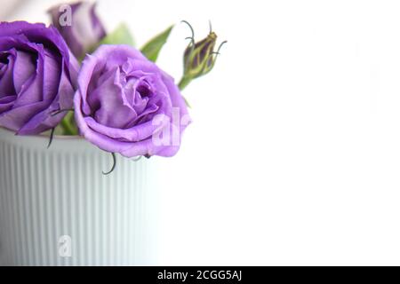 Schöne lila Rosen in einer blauen Vase auf einem hellen Hintergrund. Nahaufnahme. Hintergrund mit Kopierbereich Stockfoto