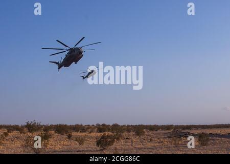 Zwei CH-53E Superhengste mit Heavy Marine Helicopter Squadron 461 üben Verteidigungsmanöver gegen einen F-5E Tiger II mit Marine Fighter Training Squadron 401 über dem Naval Air Facility El Centro Range Complex, Kalifornien, 2. September 2020. HMH-461 nimmt an Trainings für heißes Wetter Teil, um die Marines und Piloten auf Expeditions-Umgebungen vorzubereiten. (USA Marine Corps Foto von Lance CPL. Gavin T. Umboh) Stockfoto