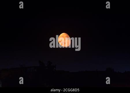 Heller oranger Mond in abnehmender Gibbous Phase, der auf dunklem klarem Nachthimmel über dunkler Stadtsilhouette aufsteigt. Mystischer nächtlicher schwarzer Himmel mit großem Mond, d Stockfoto