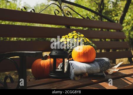 Gemütliches Herbstkonzept im Freien im Park Stockfoto