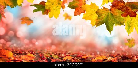 Bunte Ahornblätter des Herbstes schmücken eine schöne Natur Bokeh Hintergrund mit Laub auf dem Waldboden, mit rot, orange, gelb, grün und BL Stockfoto