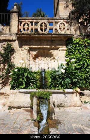 Wassergärten im Palast Festung der christlichen Könige (Alcazar de los Reyes Cristianos), Cordoba, Cordoba Provinz, Andalusien, Spanien, Europa Stockfoto