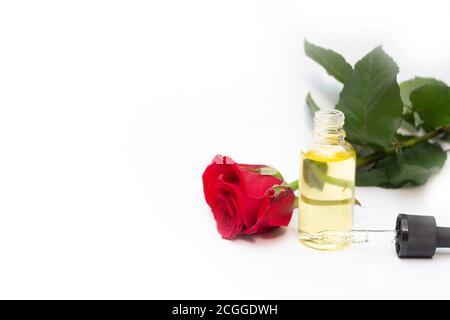 Tropfen Flasche mit Rosenöl. Hautpflegekonzept, Hydratation Stockfoto