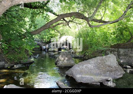 Fluss mit Steinen in der überwucherten grünen Natur, touristisches Gebiet Stockfoto