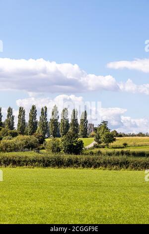 Eine Reihe von Pappelbäumen und der Kirchturm im Severn Vale Dorf Maisemore, Gloucestershire UK Stockfoto
