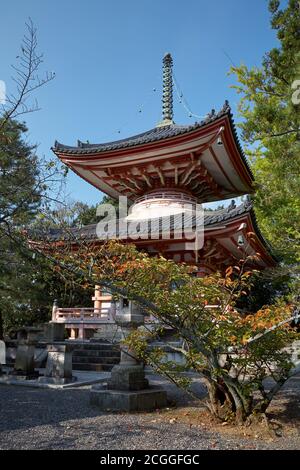 Der Blick auf die Tahoto (Pagode mit vielen Juwelen) mit dem Kirschbaum (Sakura) im Vordergrund. Chion-in Buddhistischer Tempelkomplex. Higashiyama. Kyoto. Stockfoto