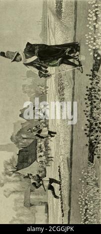 . Gérôme : das Leben und die Werke von Jean Léon Gérôme . Künstler gezwungen, sich die hellsten Tage lor Malerei reservieren , ami . als eine Änderung von den Figuren war er Modellierung , kehrte er wieder in die Wüste und seine geliebten Löwen . Vor dem Neuen Nahem. Solitude, eine Szene, die einen majestätischen Löwen darstellt.Couchant und Blick in den Raum, war beendet. Der geheimnisvolle Charme dieses Bildes, noch größer als der von Les Deux Majestes, wurde von allen gefühlt, die es gesehen haben. Zu der gleichen Zeit waren 01 lebende andere Gemälde auf verschiedenen Staffeln und der Meister ging von einem zum anderen, arbeitet Willi ein sicheres. In i Stockfoto