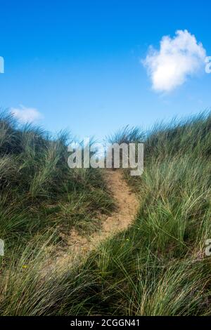 Ein Pfad in den Sanddünen am Ainsdale Beach, Merseyside, UK. Stockfoto