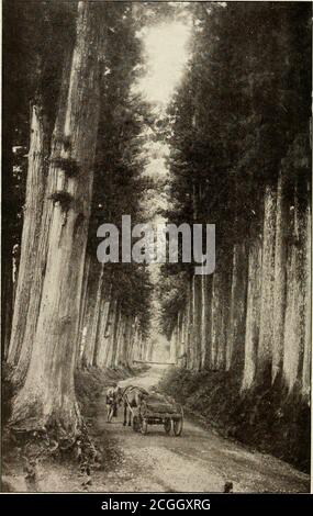 . Das japanische Reich und seine wirtschaftlichen Bedingungen. AUTOBAHN FKOM UTSUXOMIYA NACH NIKKO. Frontispiz. DAS JAPANISCHE REICH UND SEINE WIRTSCHAFTLICHEN BEDINGUNGEN VON JOSEPH DAUTREMER DOZENT AN DER SCHULE FÜR ORIENTALISCHE SPRACHEN, PARIS AUS DEM FRANZÖSISCHEN ÜBERSETZT MIT EINER KARTE UND 20 ABBILDUNGEN NEW YORK: CHARLES SCRIBNERS SONS LONDON: T. FISHER UNWIN 1910 {ALLE RECHTE VORBEHALTEN.) INHALT KAPITEL I SEITE. 17 18 19202128 I. das Reich Japans . II Geographische Lage; Entwicklung der Küsten; OberflächlichenBevölkerung in. Klima ....IV Luftfeuchtigkeit .V Geographisches System ; VulkaneVI. Hydrographie; R Stockfoto