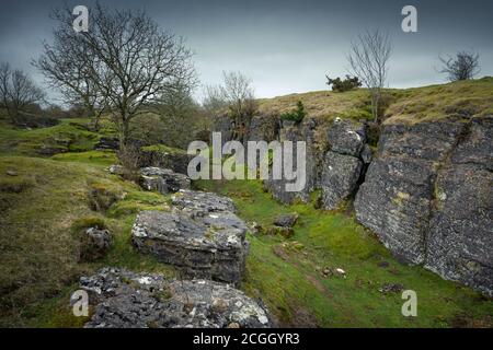 Die alte Bleimine in Ubley Warren zeigt die Rechen, die in den Kalkstein in den Mendip Hills, Somerset, England geschnitten wurden. Stockfoto