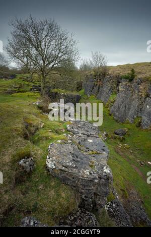 Die alte Bleimine in Ubley Warren zeigt die Rechen, die in den Kalkstein in den Mendip Hills, Somerset, England geschnitten wurden. Stockfoto