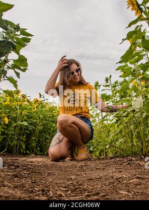 Girly Sonnenblume Hintergrund Honigbienen Ernte Stockfoto