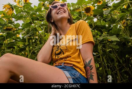 Girly Sonnenblume Hintergrund Honigbienen Ernte Stockfoto