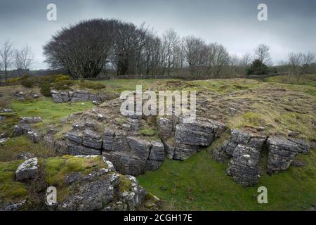 Die alte Bleimine in Ubley Warren zeigt die Rechen, die in den Kalkstein in den Mendip Hills, Somerset, England geschnitten wurden. Stockfoto