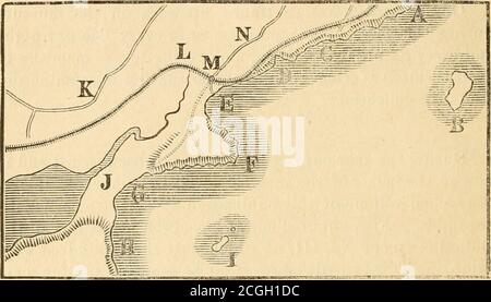 . Bulletin der Natural History Society of New Brunswick. Die Gesellschaft hielt ein sehr erfolgreiches Feldtreffen in Sand Cove und Manawagonis Beach ab. Die Party ging nach Sand Cove durch die Shore Line R, R., und durch die Freundlichkeit von James Manchester, Esq., erlaubt, seine Anlagen und Gebäude als Headquarters für ihre Exkursion zu verwenden. Die geologische Partei besuchte Sheldons Point in der Vormittags, und machte sich vertraut mit der Falle-Asche Felsen, die es bilden den Punkt auf der Westseite von Sand Cove. 46 ANLAGE KEPORT DES THK-RATES. Von hier aus gingen sie am Manawagonis Strand entlang Stockfoto